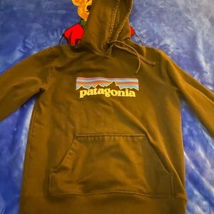 Patagonia hoodie
